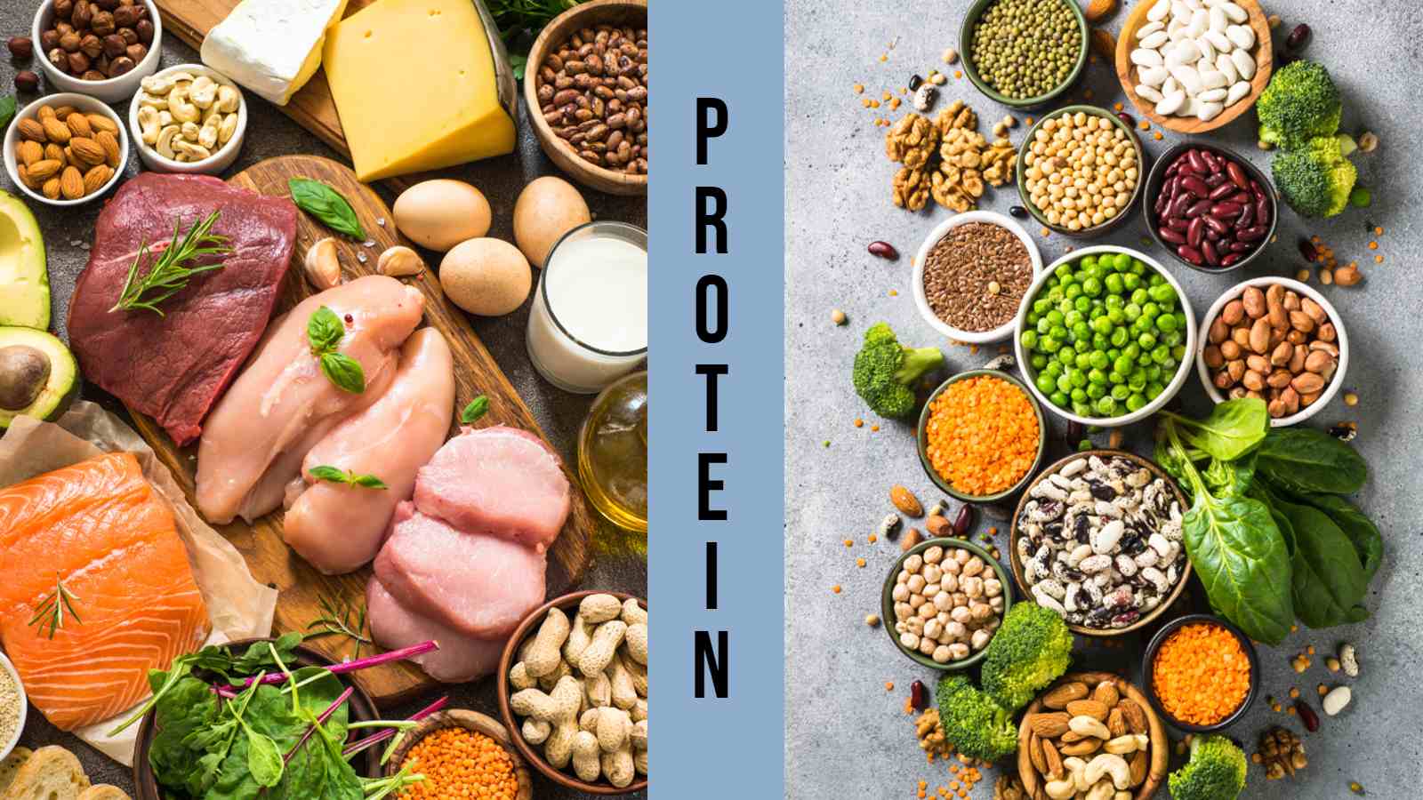 Animal vs plant protein, protein matters for muscle growth