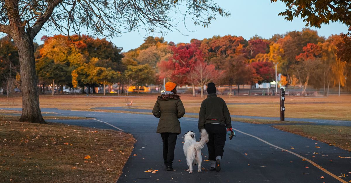Couple walking a dog along an autumn park path, the steady movement that outlasts water weight swings
