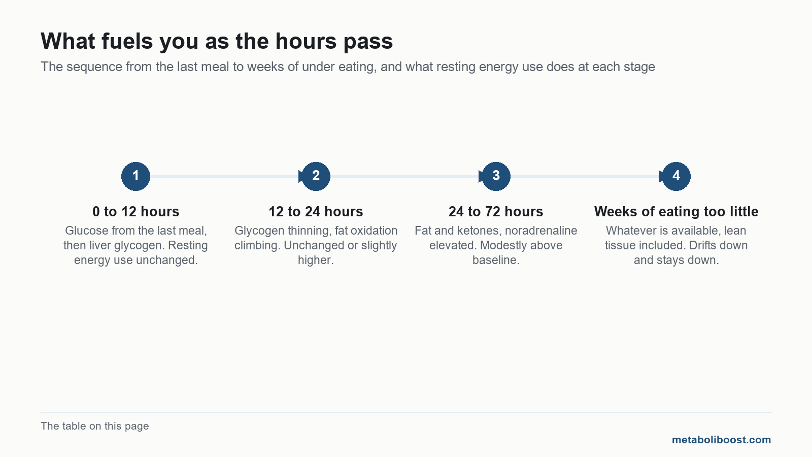 Timeline answering does fasting slow metabolism in women: energy use unchanged or higher for days, drifting down only after weeks of under eating