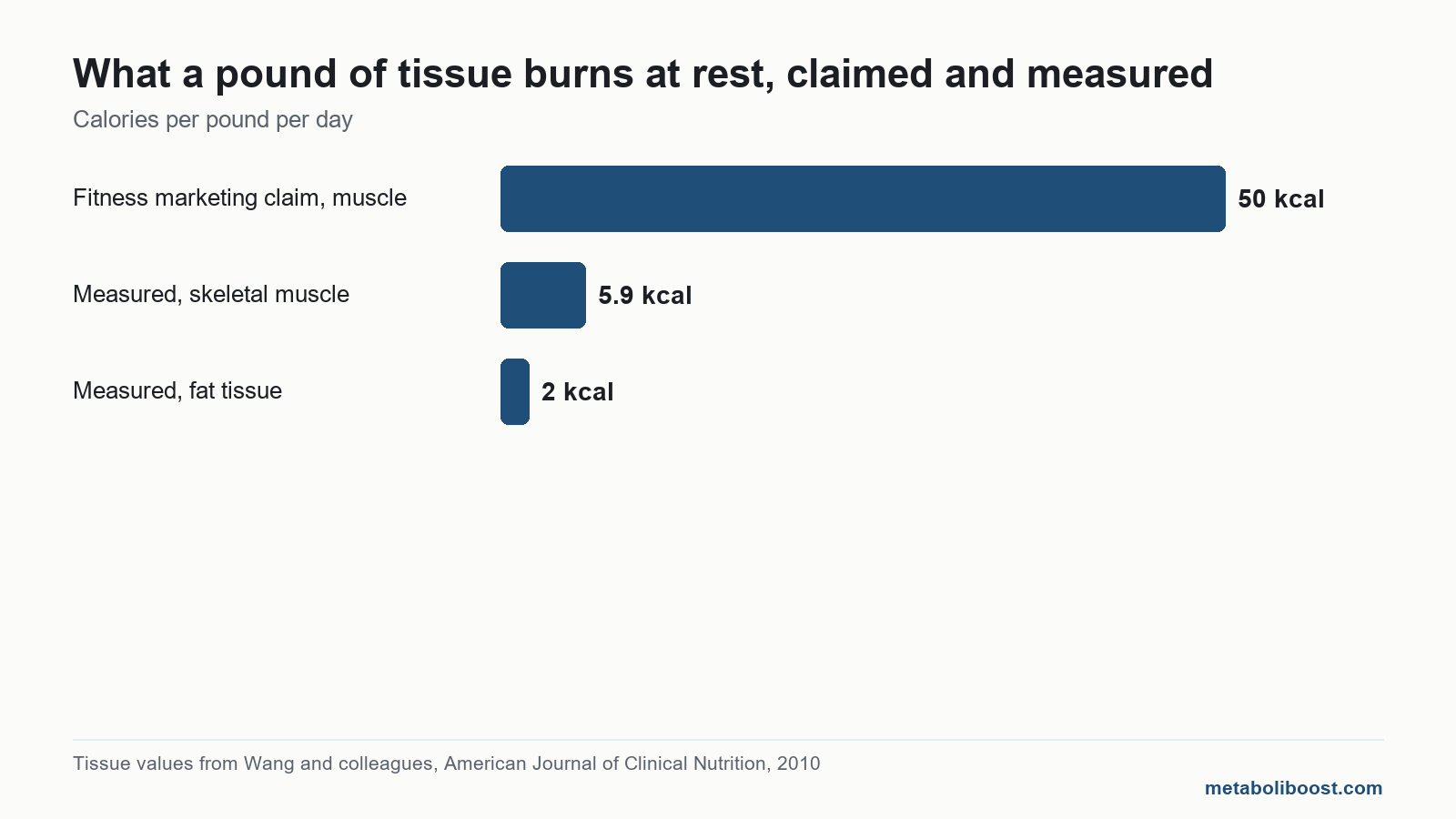 Bar chart: does increased muscle mass increase metabolism, 50 kcal claimed against 5.9 measured per pound of muscle