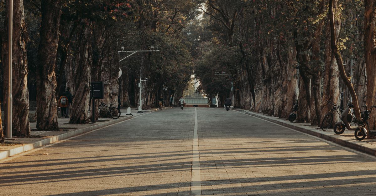 Why You Feel Lazy in Summer (And What Actually Helps)