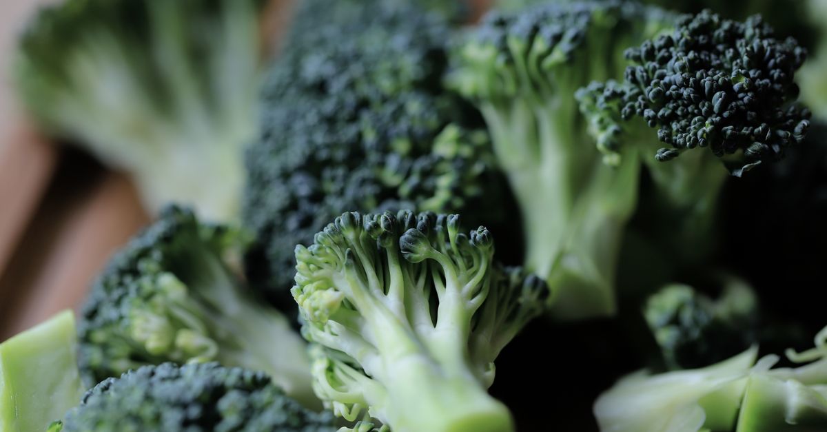 Does Broccoli Actually Boost Your Metabolism?