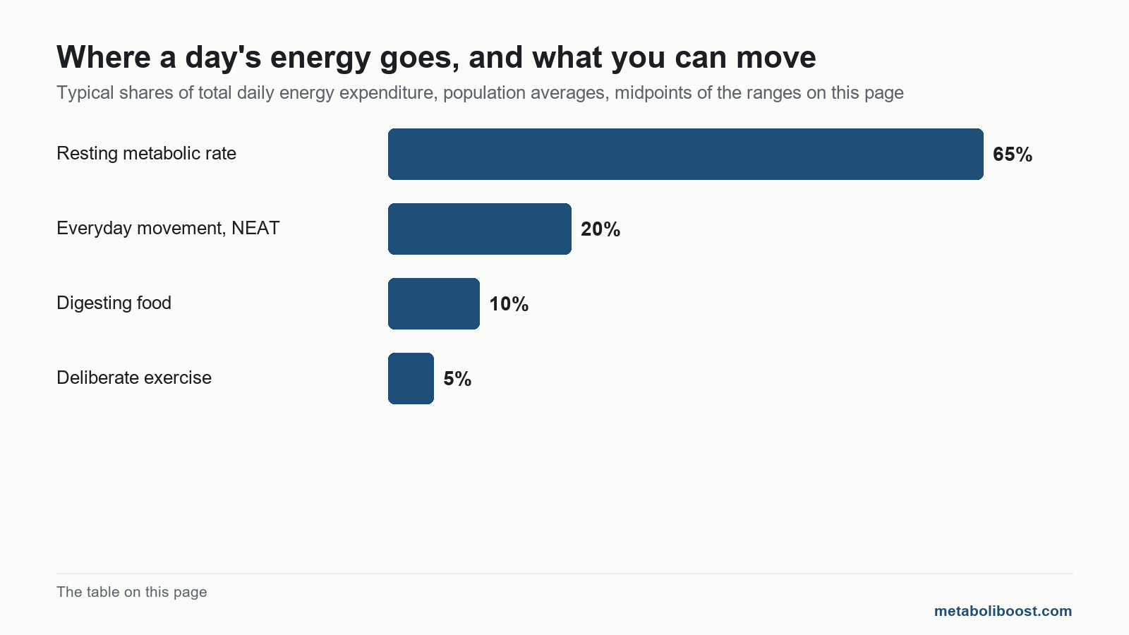 Bar chart of the four parts of daily energy burn behind how to fix a slow metabolism naturally, resting rate largest and exercise smallest