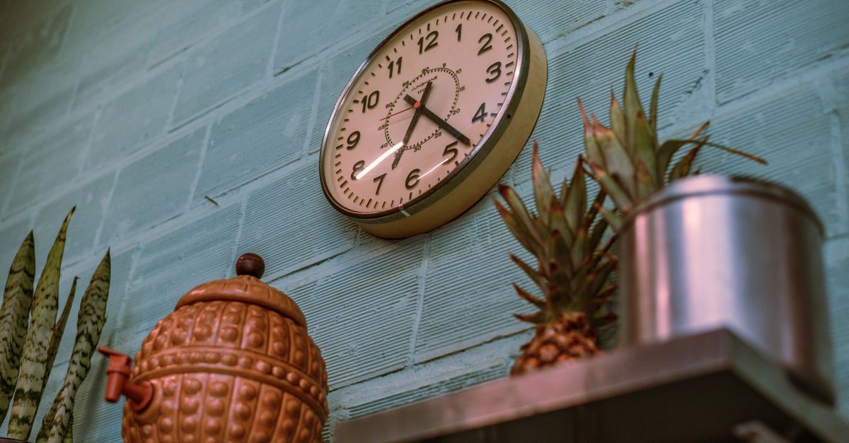 Round clock on a kitchen wall beside a shelf of plants, the hours an intermittent fasting window counts