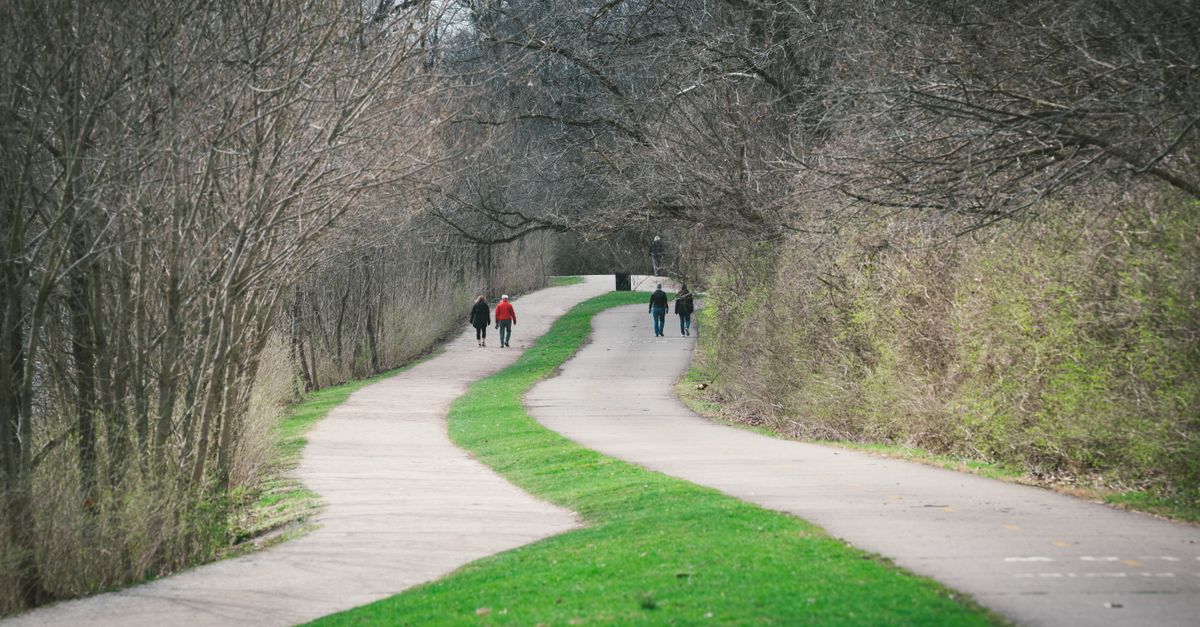 People walking together along a paved park path in early spring