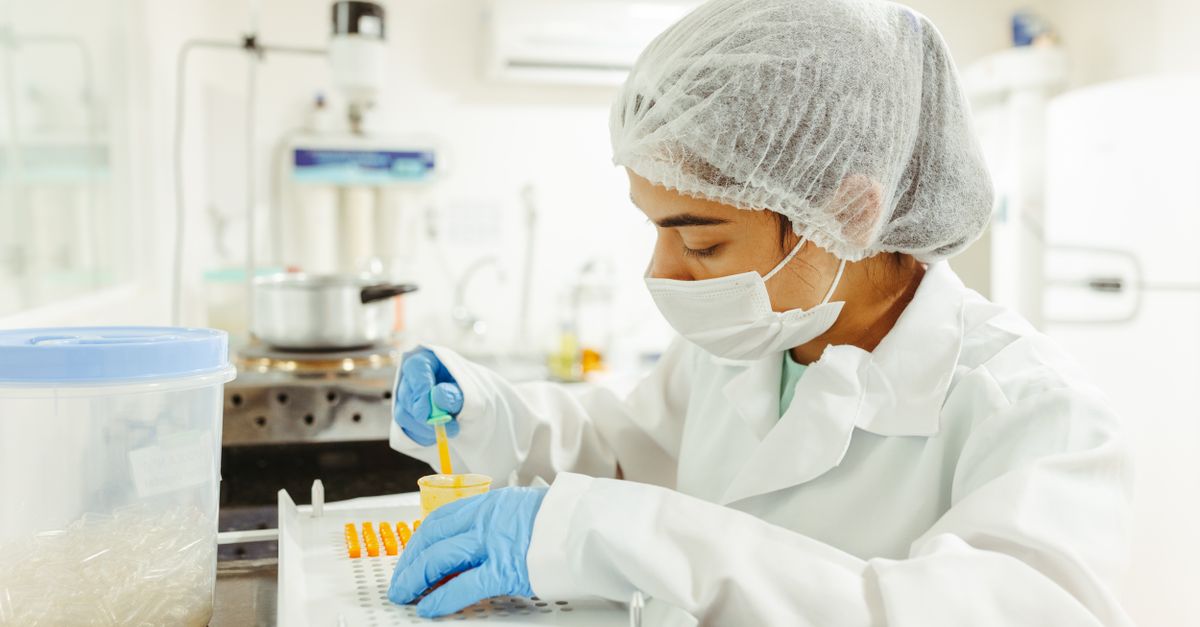 Laboratory technician pipetting samples during purity testing, the analysis used to screen shilajit for heavy metals