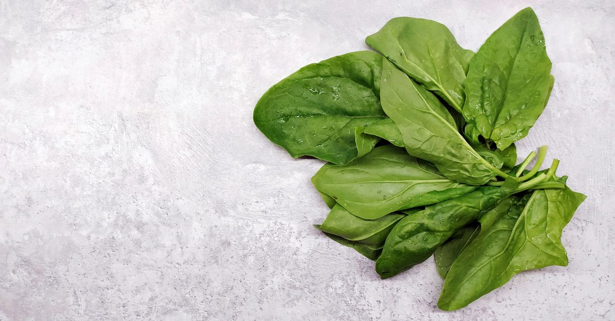 Bunch of fresh spinach leaves on a grey surface, the iron source that period fatigue advice overrates