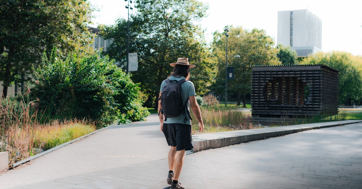 Does Walking in Summer Burn More Fat? What Decides It