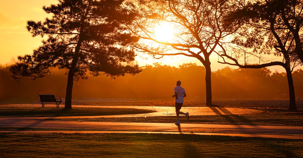 Runner jogging through a park as the sun rises behind the trees, a morning workout