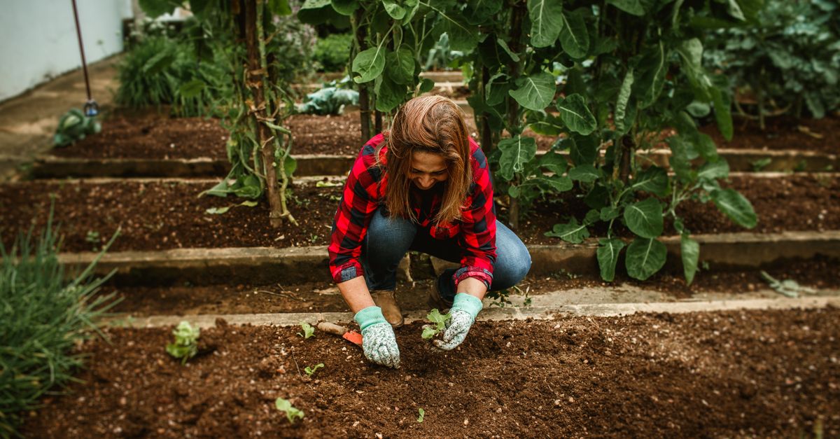 Woman kneeling to tend an outdoor vegetable garden, unhurried movement while losing 20 lbs